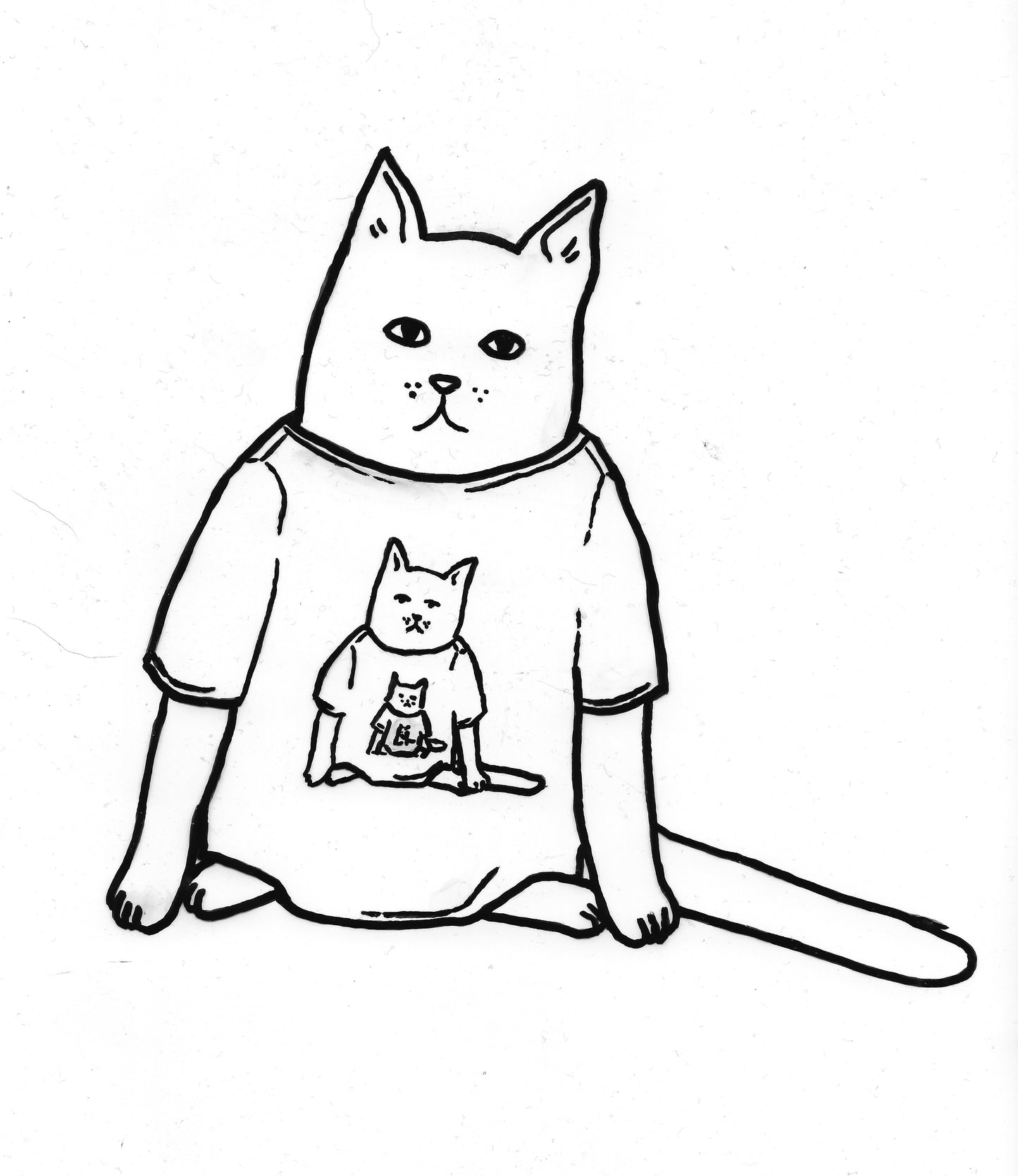 Shirt of the Week @catscapes.cat