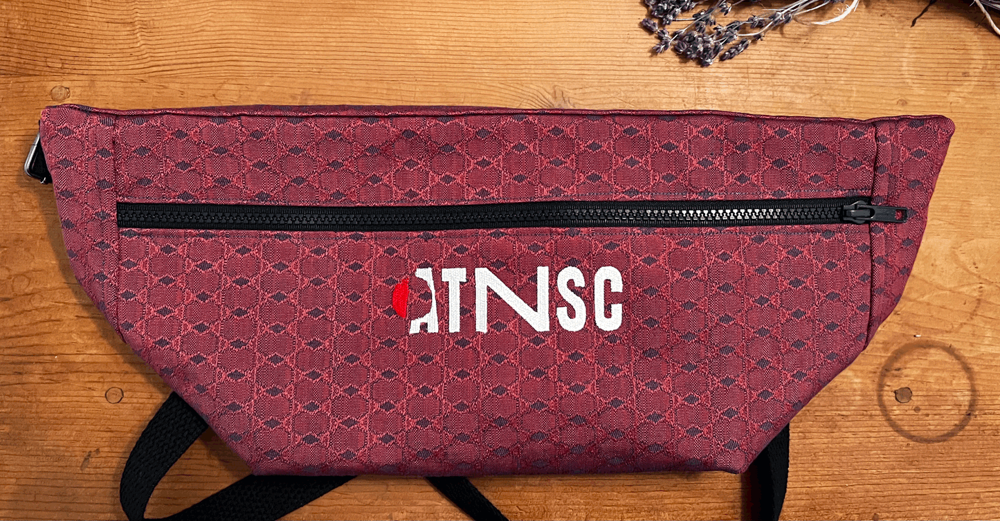 ATNSC Artist Crossbody Bag (Pink Print)