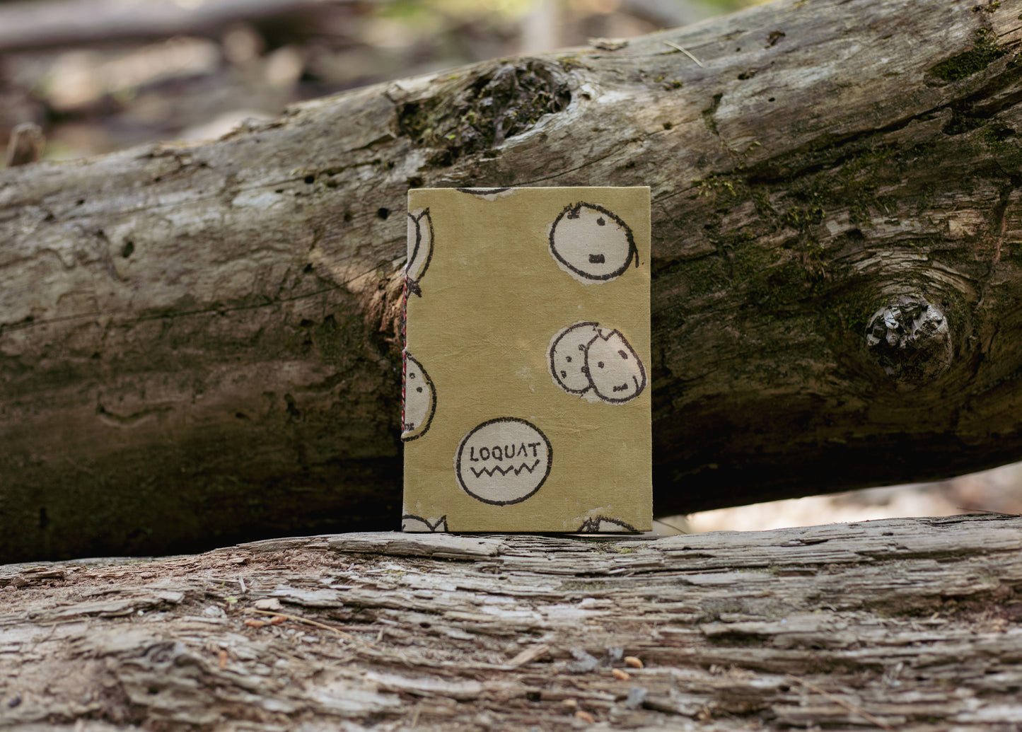 Loquat Dot Journal