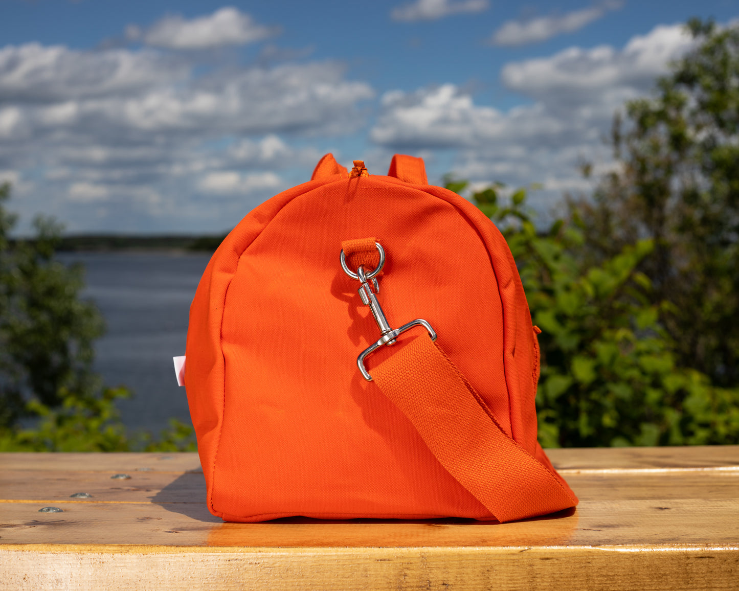 Swizzle Waxed Country Bag