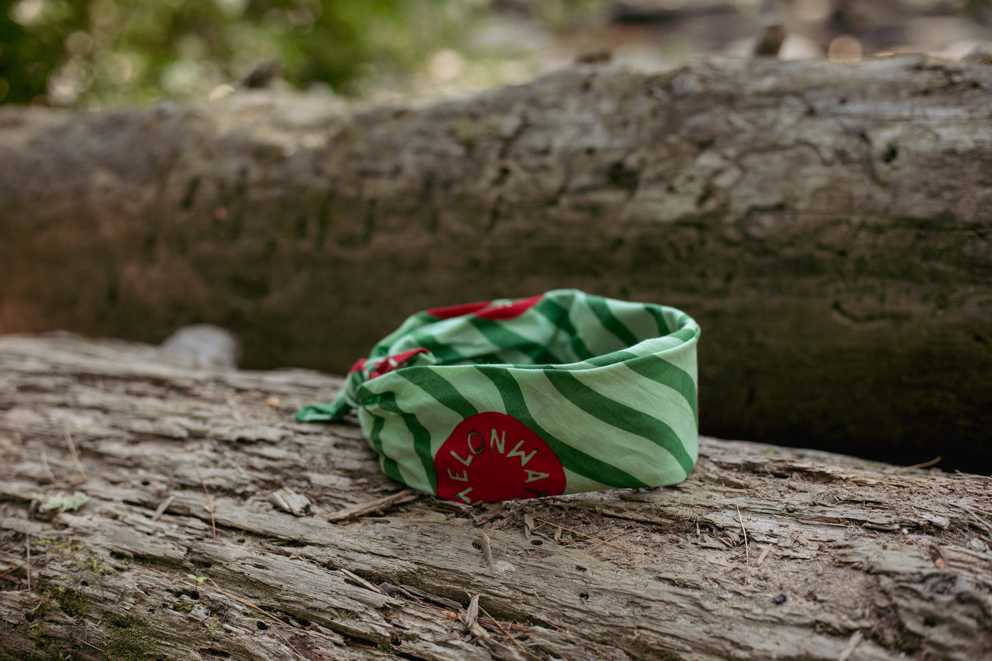 Watermelon Bandana