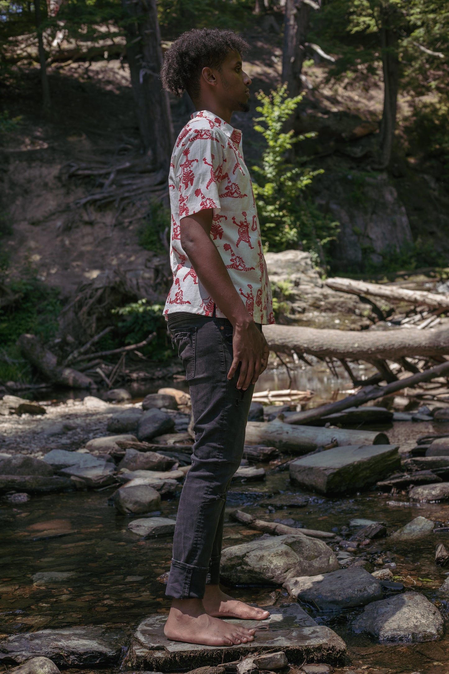 Short Sleeve Button Down - Somerset Gombey